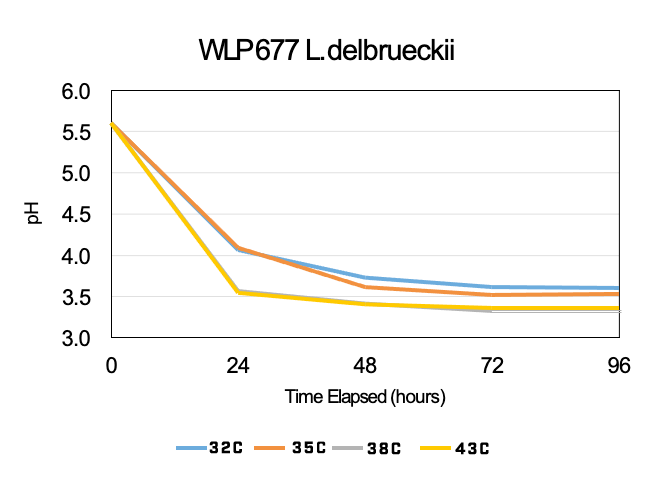 White Labs WLP677 Lactobacillus Delbrueckii Bacteria Temperature tolerance