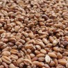 Wheat malt 1kg - Bestmalz