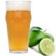 Juicy Lime APA 12°BLG
