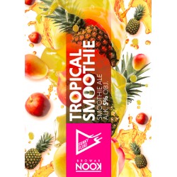 TROPICAL SMOOTHIE – Smoothie Ale 14°BLG - Funky Fluid