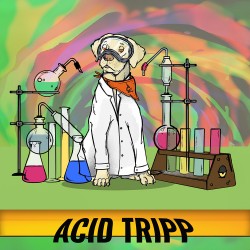 Acid Tripp by White Labs & Tripping Animials 14°BLG